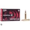 Federal 223 Rem 55gr Fmj American Eagle