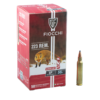 Fiocchi 223 Rem 55gr Sp 50pk