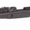 Gamo Speedster Storm Gen 2 22 880 Fps