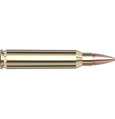 Frontier 223 Rem 55 Gr Hollo Point Match