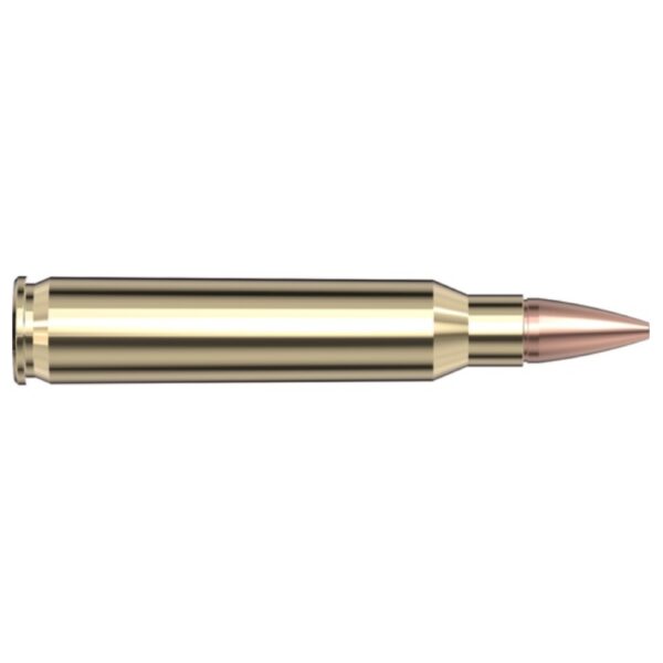 Hornady Frontier 223 Rem 55gr Hollow Point Match