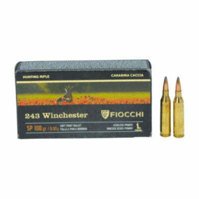 Fiocchi 243 Win 100gr Sp 20pk