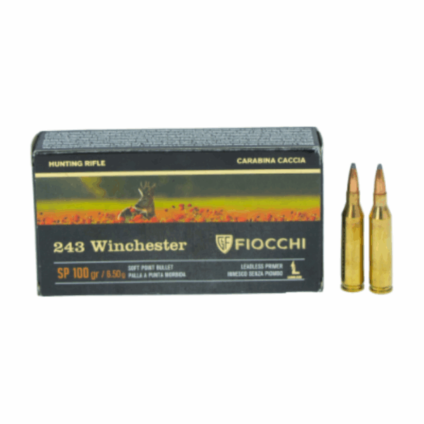 Fiocchi 243 Win 100gr Sp 20pk