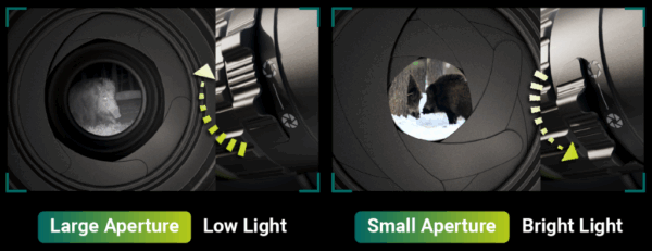 Pixfra Volans Dv Lrf Riflescope 50mm Day Night Sensor
