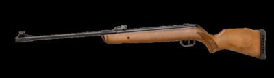 Gamo Big Cat Hunter .22 1250fps